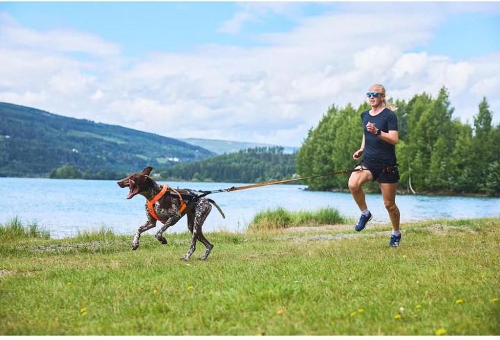 Productafbeelding Non-Stop Dogwear CaniX Riem 2.0 (M, Hond, Hondensport)