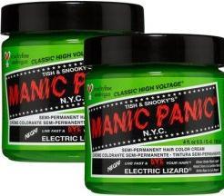 Immagine prodotto Skybound Electric Lizard Classic Creme Vegan Cruelty Free Verde Tintura Semipermanente per Capelli 118ml (Lucertola elettrica)