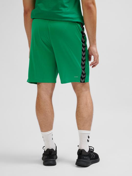 Actual product image hummel Hmlauthentic Pl Shorts (XL)