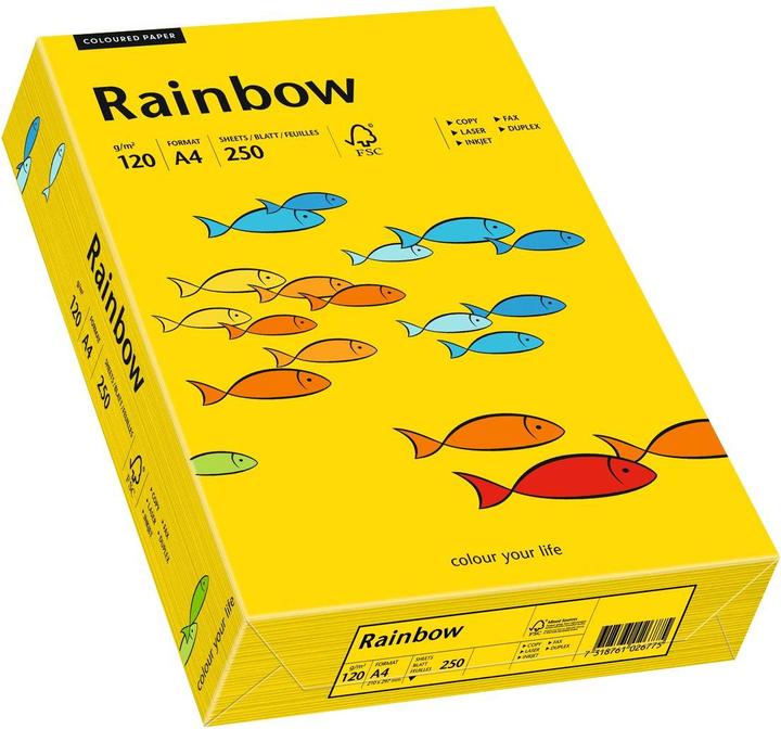 Actual product image Mondi Rainbow coloured copy paper (120 g/m², 250 x, A4)