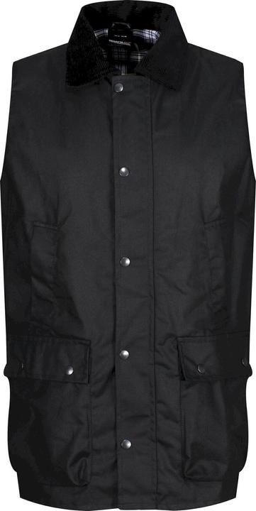 Actual product image Regatta Banbury Vest (S)