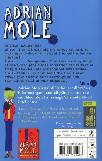 Actual product image The Secret Diary of Adrian Mole Aged 13 3/4 (English, Sue Townsend, 2002)