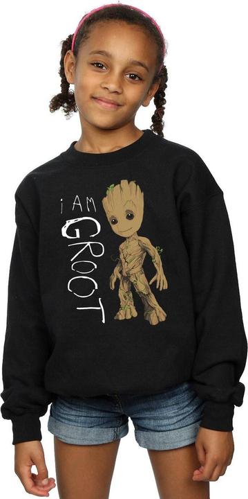 Produktbild Guardians Of The Galaxy I Am Groot Scribbles Sweatshirt Mädchen (152, 158)