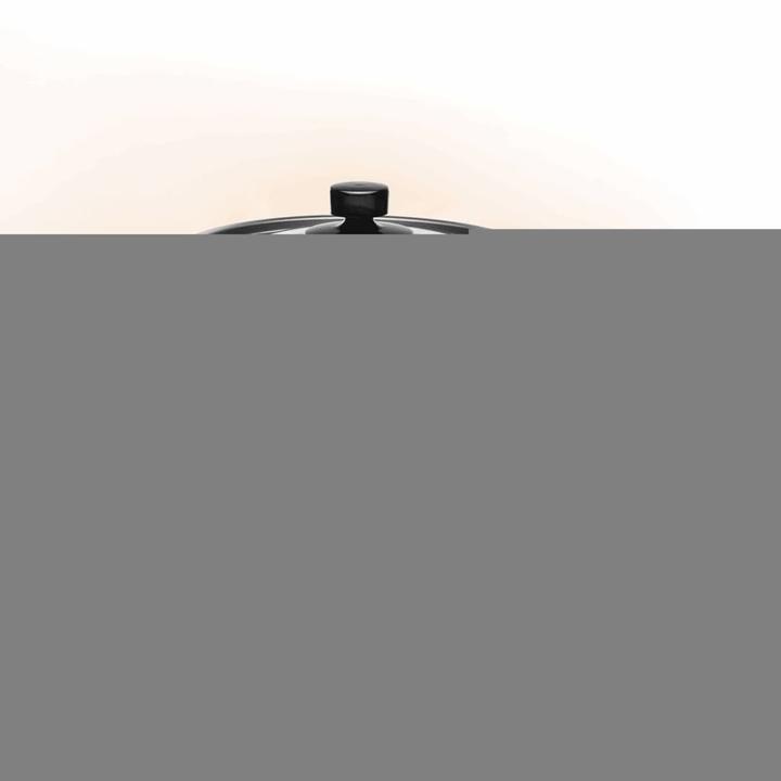Produktbild Princess Reiskocher 01.271950.01.001 Ed (EU-Stecker)