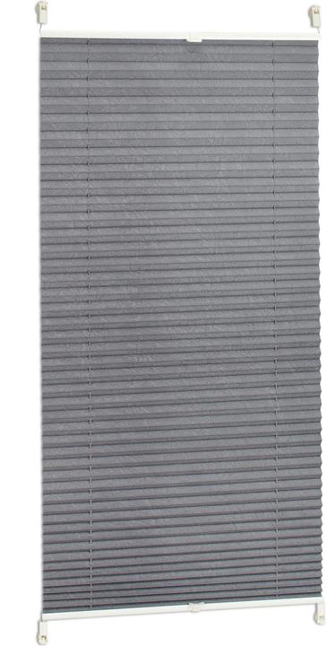 Immagine prodotto Relaxdays cieco plissettato (90 x 2 x 210 cm)