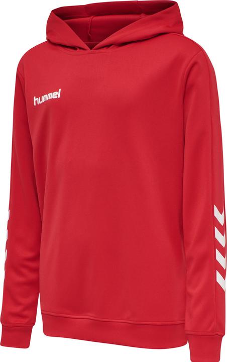 hummel Promo Kids Poly Hoodie (176)
