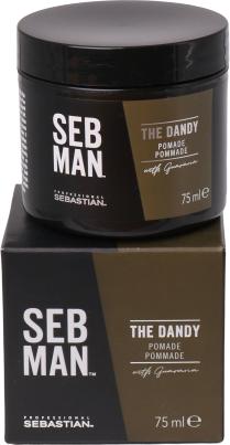 Immagine prodotto Sebastian SEB MAN - La Pomata Lucida Dandy (Pomata, 75 ml)