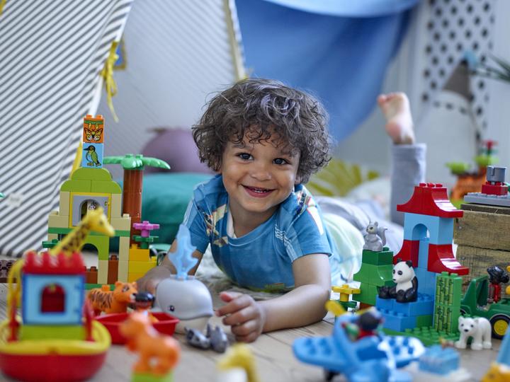 Actual product image LEGO Young animals (10801)