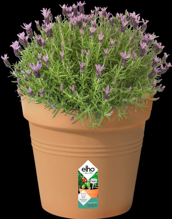 Image du produit Elho Vert de base (35 cm)