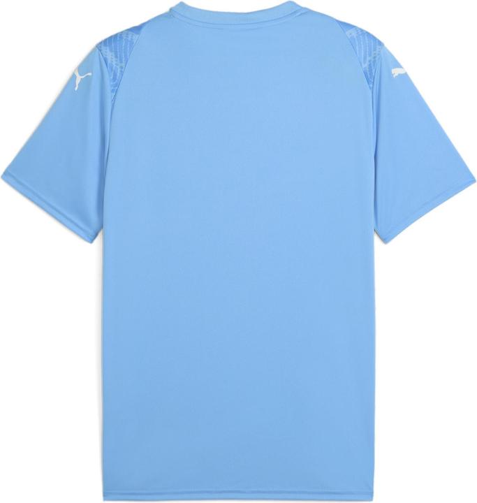 Actual product image Puma teamULTIMATE Jersey (XL)