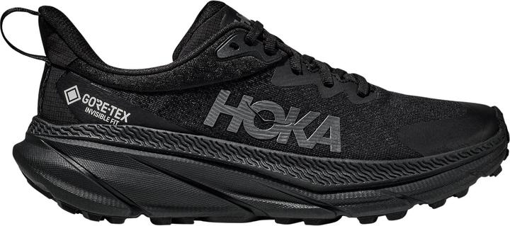 Hoka Challenger 7 GTX (41)