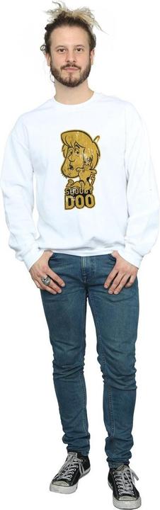 Image du produit Scooby Doo - Sweat AND SHAGGY - Homme (3XL)
