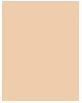 Immagine prodotto Shiseido Synchro Skin Self-Refreshing - Liquid Concealer Fair 102 (No.102)