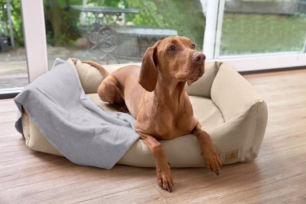 Image du produit Palopa Lit pour chien (Chien)