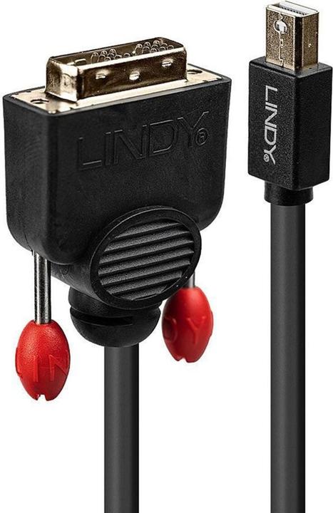 Lindy Kabel Mini DP Auf Dvi 2m (2 m, DVI, DisplayPort)