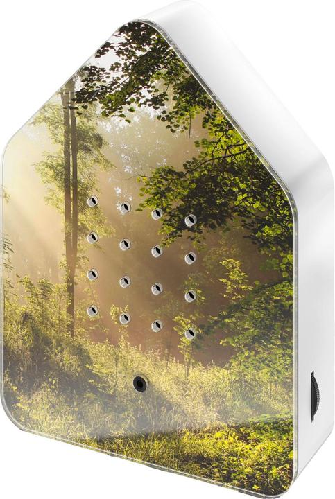 Image du produit Relaxound Boîte à Outils Zwitscherbox (11 x 3 x 14,5 cm)