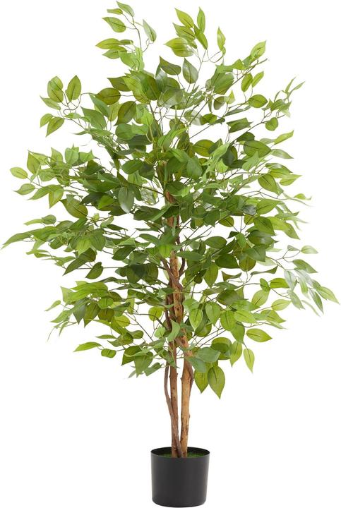 Produktbild tectake Ficusbaum Fida (120 cm)