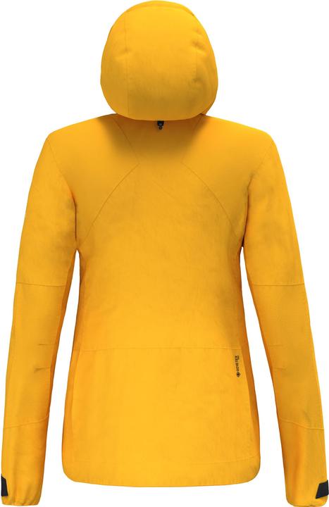 Immagine prodotto Salewa Giacca Ortles GORE-TEX® Pro Stretch Da (34, XS)