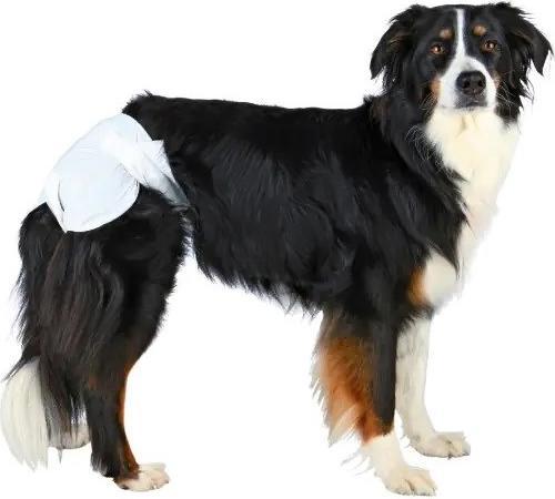 Actual product image Trixie Nappies for bitches (Dog)