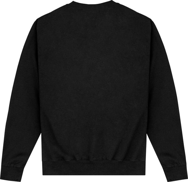 Actual product image Unisex Adult Est 1636 Sweatshirt (L)