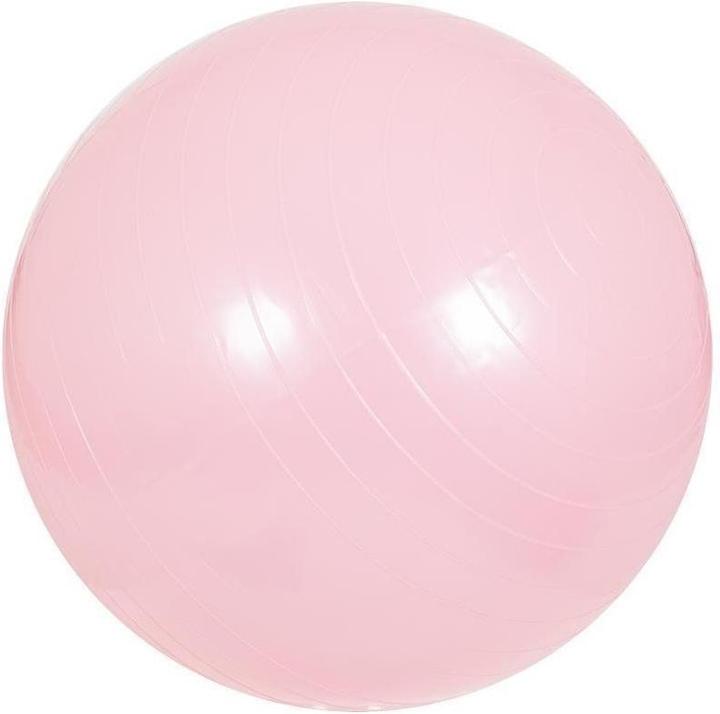Gorilla Sports Ballon d'exercice (55 cm)
