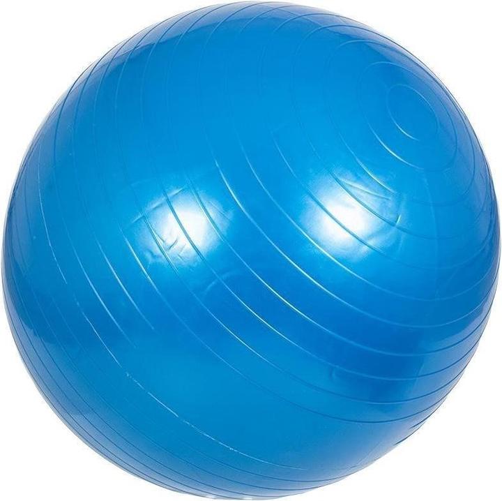 Gorilla Sports Gymnastikball 355 (65 cm)