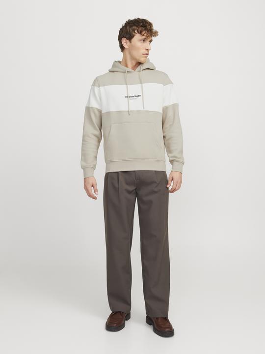 Produktbild Jack & Jones Jorvesterbro Block Sweat Hood Styd Aw24 (S)