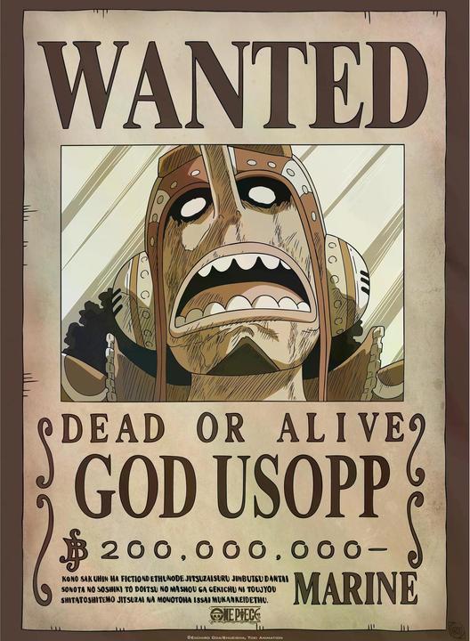 Actual product image GB Eye One Piece - Franky & Usopp (52 x 38 cm)