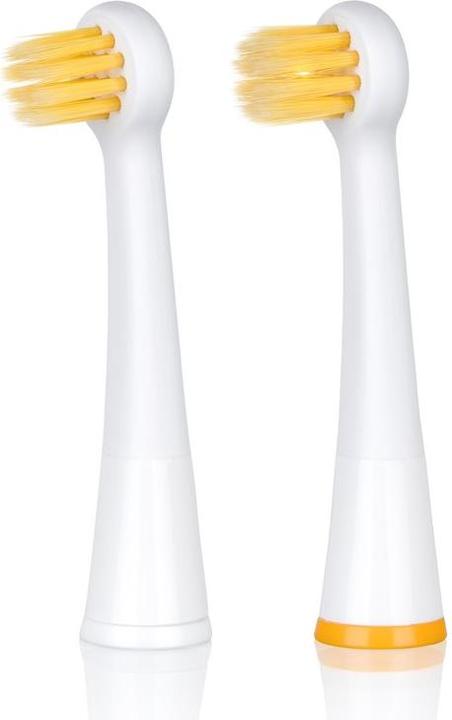 Edel + White Focus Brush Head Sonic Ersatzbürstenköpfe (2 x)
