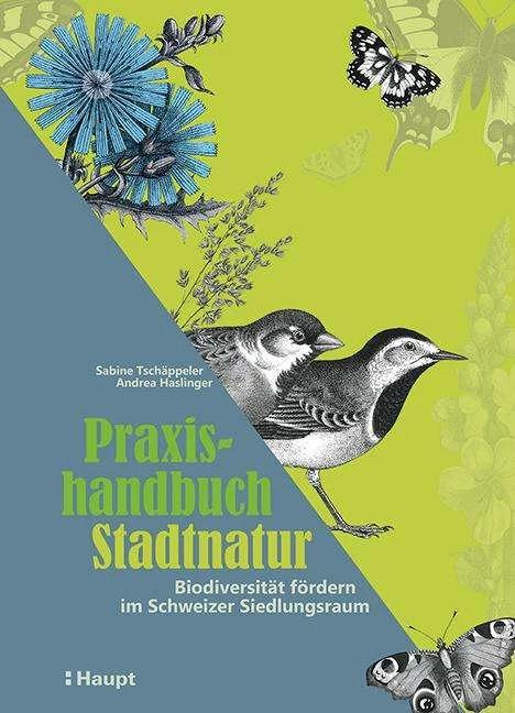 Produktbild Praxishandbuch Stadtnatur (Deutsch, Andrea Haslinger, Sabine Tschäppeler, 2024)