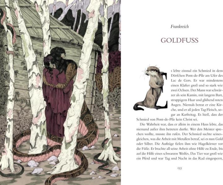 Produktbild Die Froschprinzessin. Märchen aus aller Welt (Deutsch, Tobias Schnettler, Julia Plath, Cornelia Funke, 2024)
