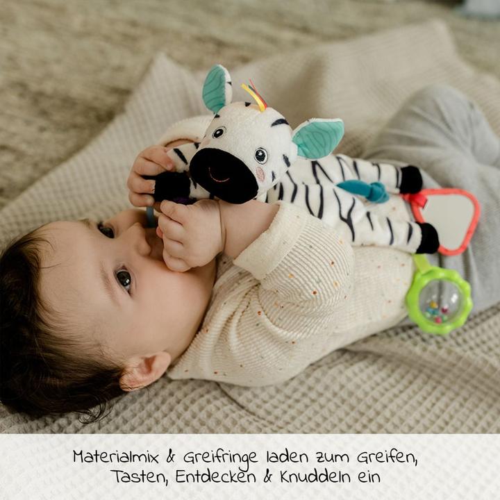 Actual product image Fehn Bean Bag Zebra
