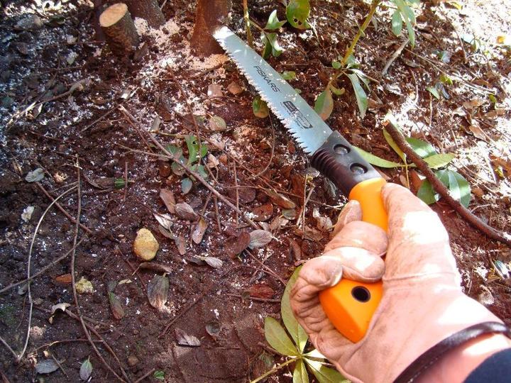Productafbeelding Fiskars Handtuinzaag SoftGrip 330 m