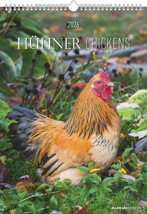 Produktbild Alpha Edition Hühner Kalender im Format 29,7 x 42 (Harter Einband, Französisch, Spanisch, Niederländisch, Englisch, Deutsch, Italienisch)
