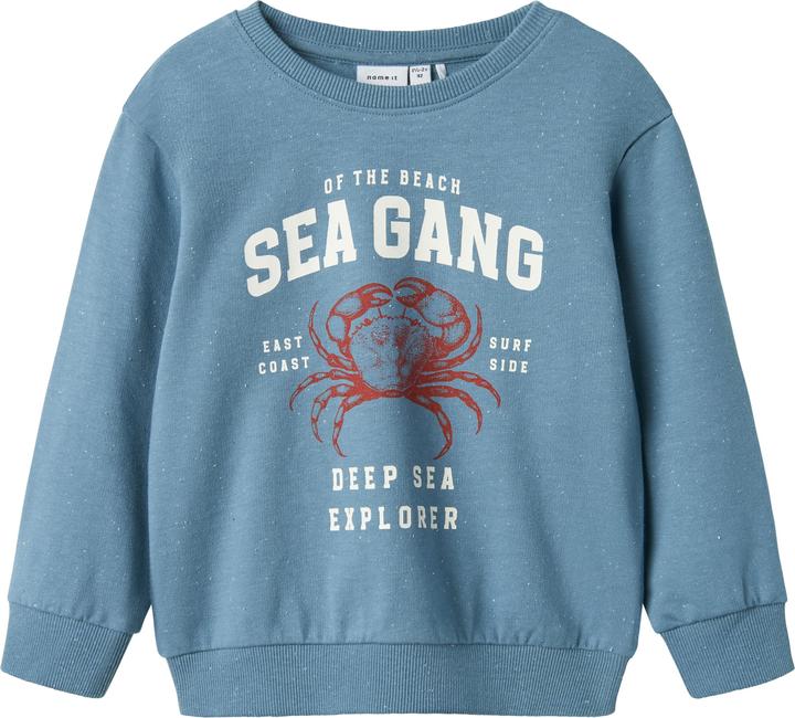 Name it Regular Fit Sweatshirt (104)