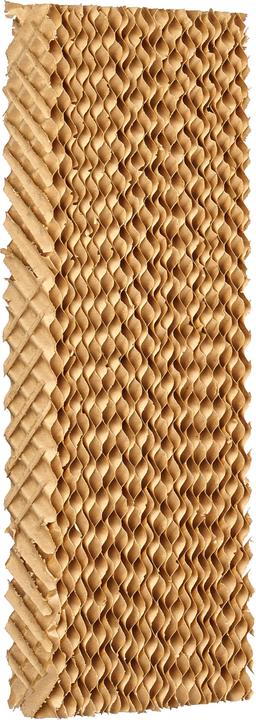 Actual product image Solis Cool Air (61 dB)