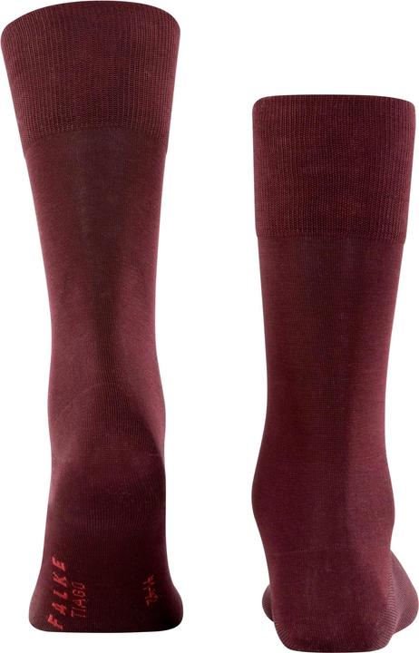 Actual product image Falke Tiago (Single pack, 47 - 48)