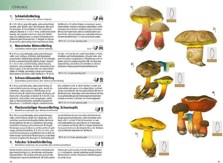 Produktbild Kosmos Das Handbuch Pilze (Deutsch, Peter Karasch, Andreas Gminder, 2023)