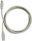 Produktbild Exsys USB-Kabel USB (M) bis USB Typ B (M) (5 m, USB 2.0)