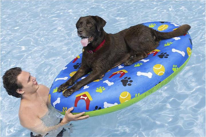 Immagine prodotto Bestway Fetchin' Fun Luftmatratze für Haustiere