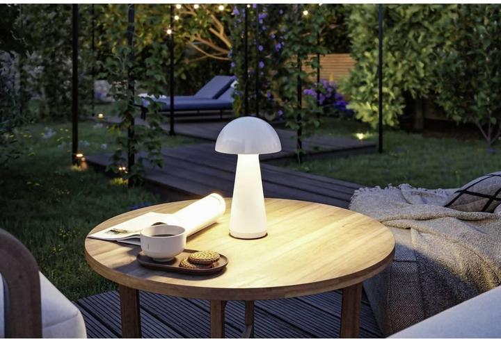 Image du produit Paulmann Onzo (240 lm)