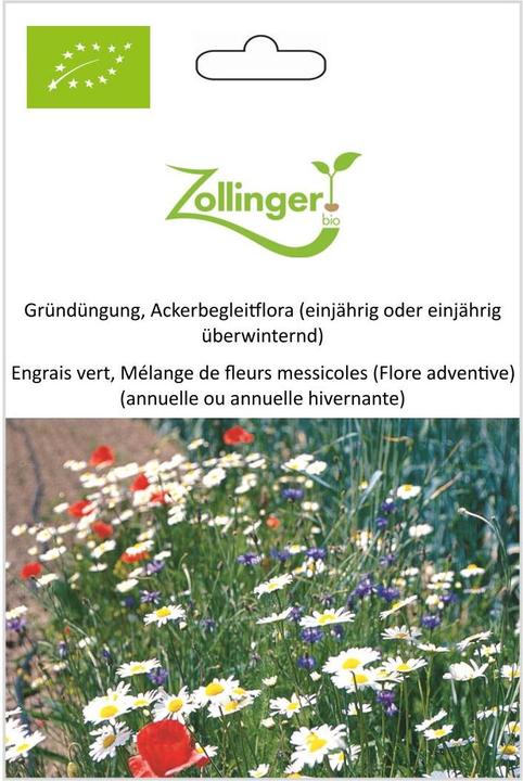 Produktbild Zollinger Bio Gründüngung, Ackerbegleitflora (einjährig oder einjährig überwinternd)