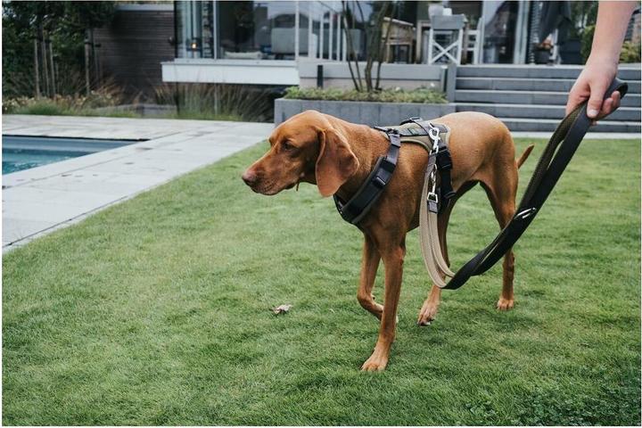 Produktbild Hunter Verstellbare Leine Maldon nylonpolyester (Hund)