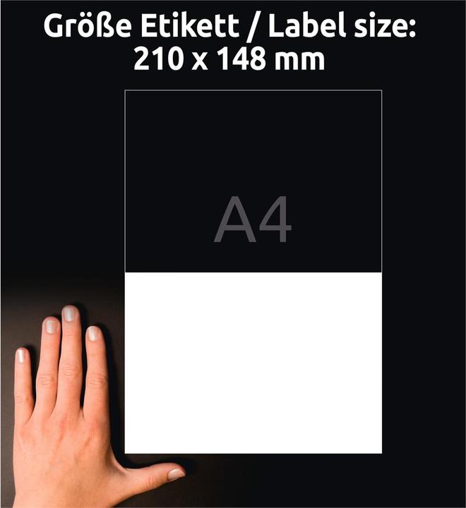 Actual product image Avery Antimicrobial labels 210 x 148 mm, 10 Blatt, Weiss
