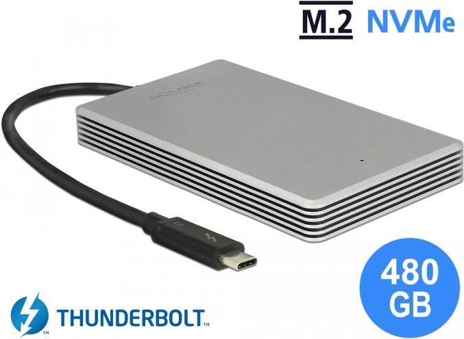 Image du produit Delock Thunderbolt-3 (480 Go)
