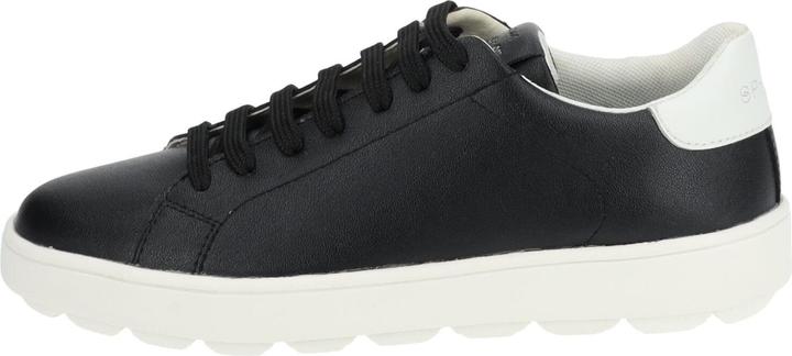 Geox Sneaker (40)