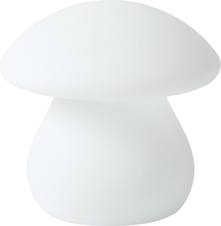 Table lamps
