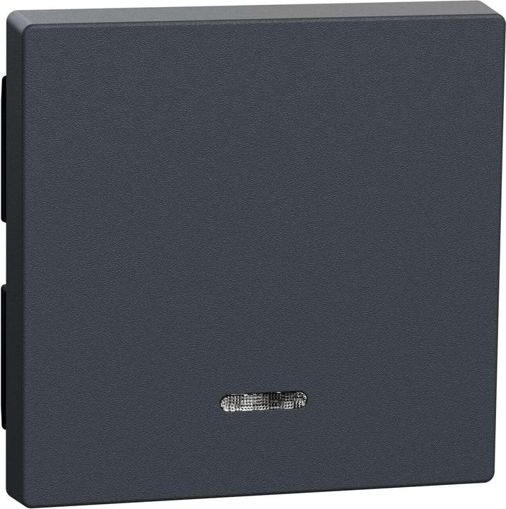 Image du produit Merten Rocker