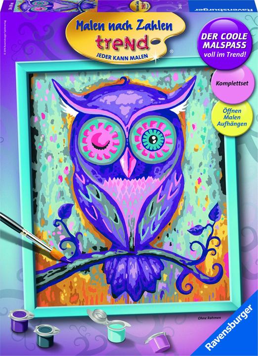 Produktbild Ravensburger Gemälde von Zahlen Dreaming Owl