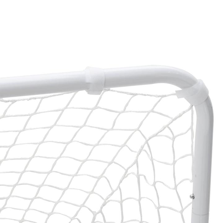 Image du produit VidaXL But de football